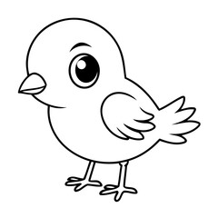 Amazing Bird coloring book cover design