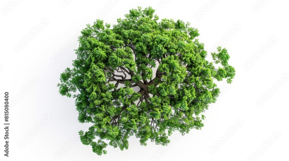 Poster tree top view on white background for layout plan generative ai