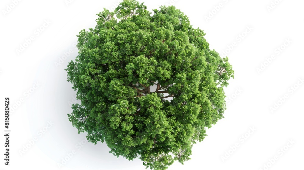 Aufkleber tree top view on white background, nature scene generative ai