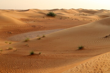 The Judean Desert in the Middle East, located in Israel and the West Bank.