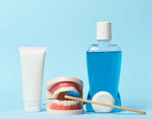 Human jaw model, mouthwash blue background, oral hygiene