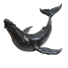 Fototapeta premium A realistic sculpture of a humpback whale, showcasing its iconic features, on a plain Png background, a baleen whale isolated on transparent background