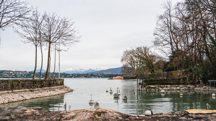 petit port du lac de Genève à l'hivernage
