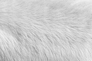 Horse hair texture as background
