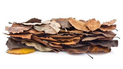 Dry leaves arranged in stacks on white background