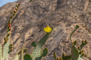 Provincia de Murcia - Abanilla desde el Lugar Alto con el monumento al Corazón de Jesús y resto de la muralla del castillo