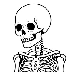 Cute vector illustration Skeleton for children colouring activity