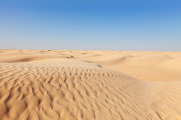 Desert scene featuring a vast expanse of sand dunes under a clear blue sky