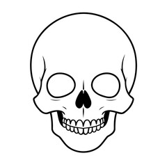 Cute vector illustration Skull doodle for toddlers coloring activity