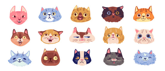 Set of cute funny and silly cat faces on white background. Different breed cat characters heads with emotions - angry, sad, scared and happy. Cartoon cat muzzles vector illustration