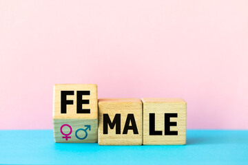 The word female changes to Male. Gender change symbol, Female into male, Gender identity, equality...