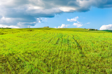 panoramic farmland landscape with green spring field , salad and yellow hills, garden and grassland and beautiful cloudy sky.