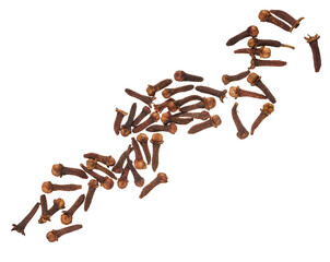 Dried clove spice on isolated background