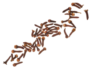 Dried clove spice on isolated background
