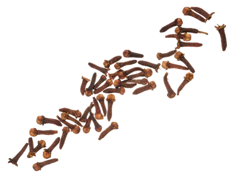 Dried clove spice on isolated background