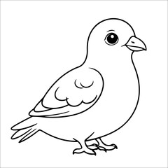 Pigeon Coloring Page Drawing For Toddlers