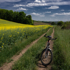 Bicycle ride through the fields.Wildflowers. Picturesque picture in the field.Spring fields of central Ukraine.Rapeseed flowering.Hanging clouds along the fields.