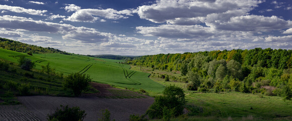 Landscape nature reserve.Recreational area.Forest lands of the central part of Ukraine.Cloudy, clear day.