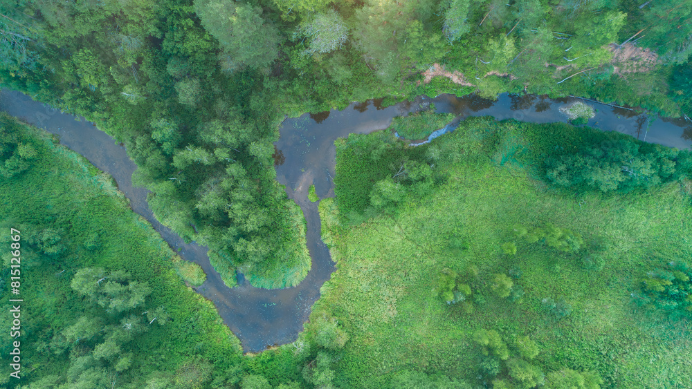 Poster a lush green forest with a river running through it. the river is full of debris and trash, giving t