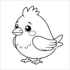 Bird Coloring Book Drawing For Kids