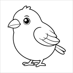 Bird Coloring Book Drawing For Kids Activity