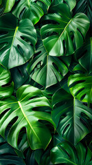 A close up of green leaves on a wall.