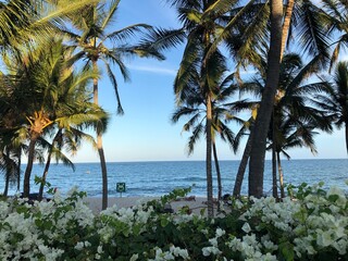 Paradise beach