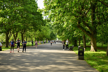 Families walking in a park in summer