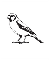 Manakin Victor Design