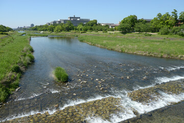 鴨川　賀茂大橋から下流を眺める　京都市左京区