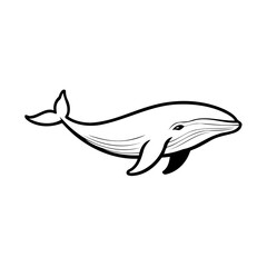 Vector illustration of a cute Whale drawing for colouring page