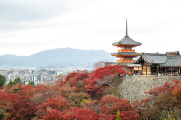 Temple Kyoto 
