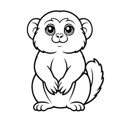 Fototapeta premium Vector illustration of a cute Marmoset doodle drawing for kids page