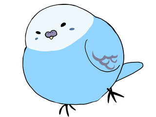 セキセイインコ ブルー