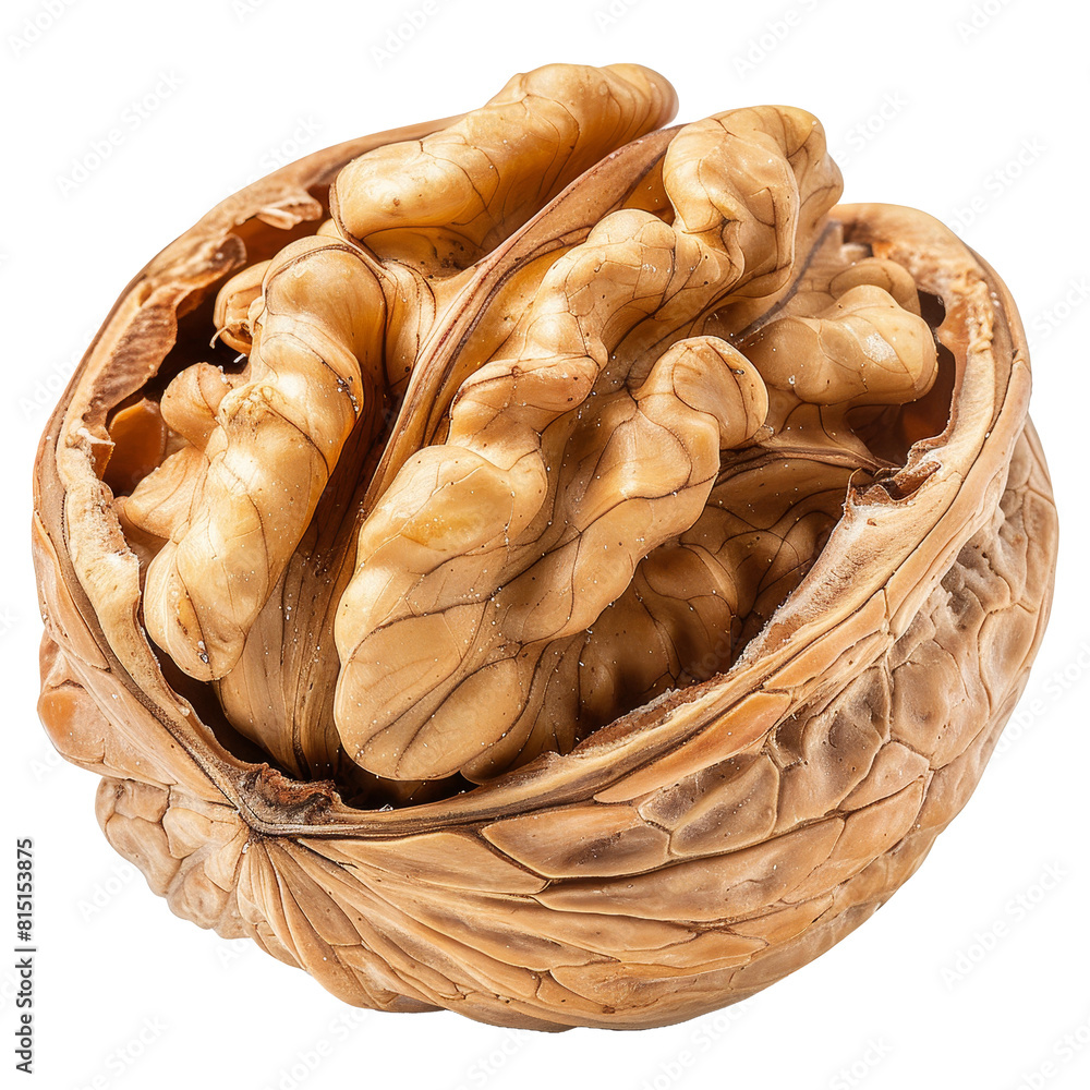 Poster a single walnut shell displayed on a plain white backdrop, a walnuts isolated on transparent backgro