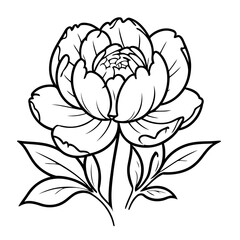 Simple vector illustration of Peony drawing for kids colouring activity