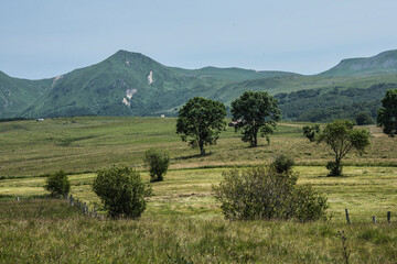 typical landscape of the French Auvergne with meadows and vulcan mountains