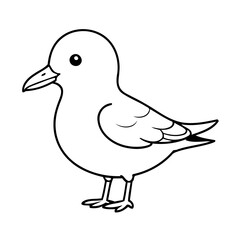 Vector illustration of a cute Seagull doodle drawing for kids page