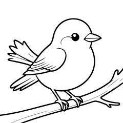 Cute vector illustration Robin drawing for toddlers book