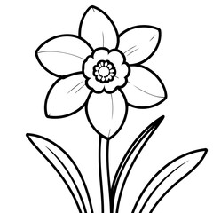 Cute vector illustration Daffodil doodle for toddlers colouring page