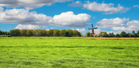 Typical flat endless dutch green rural countryside  landscape with windmill in summer - Hompesche...
