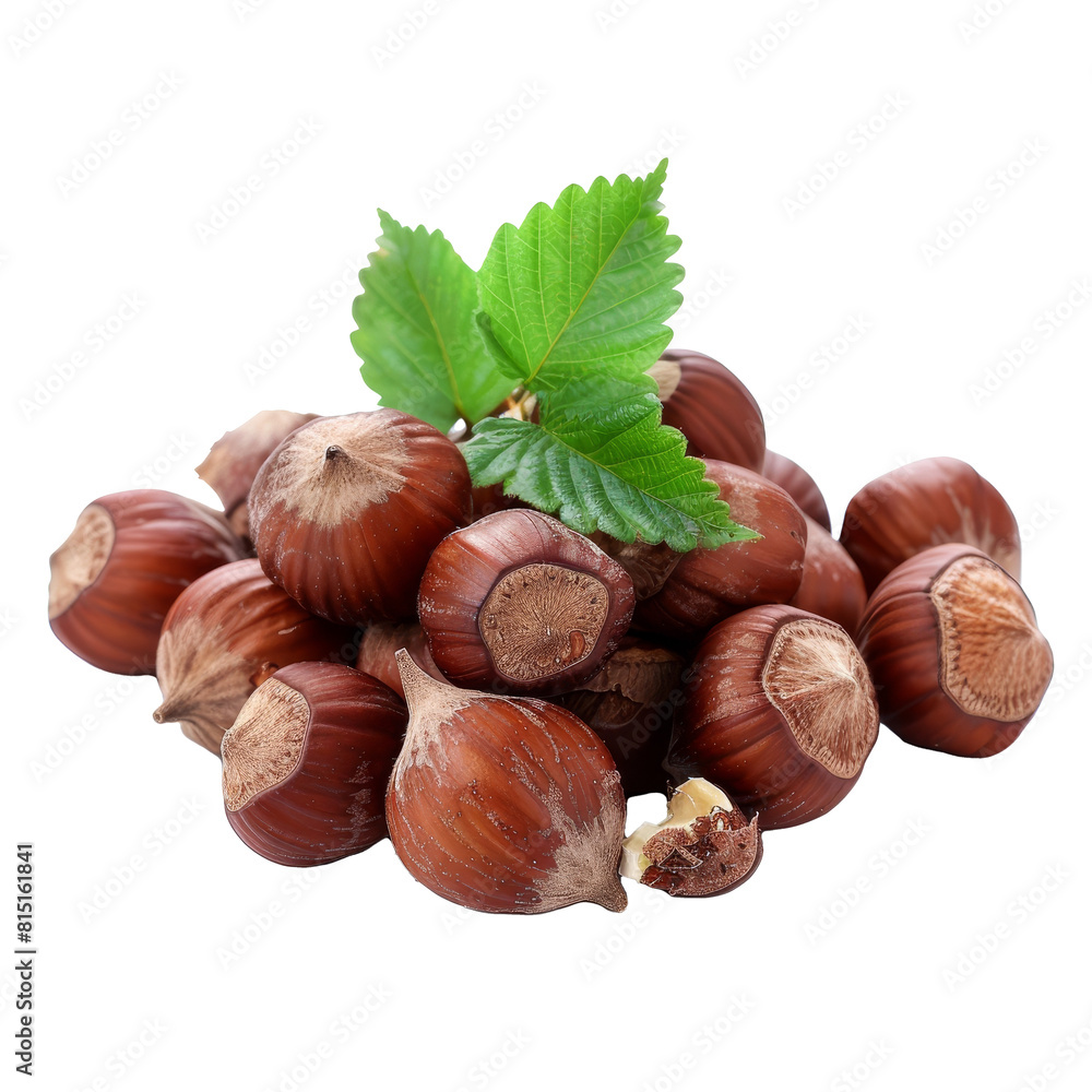 Poster Several hazelnuts neatly arranged on a plain white backdrop, hazelnuts isolated on transparent background