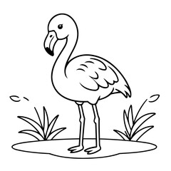Cute vector illustration Flamingo for toddlers colouring page