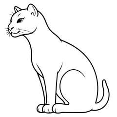 Vector illustration of a cute Puma doodle for children worksheet