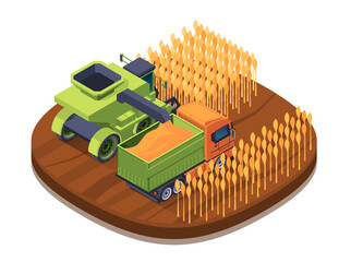 Isometric illustration of a combine harvester and truck in a wheat field, on a plain background, depicting agriculture. vector illustration