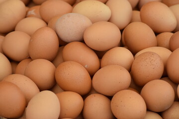 Natural village eggs for sale in the market