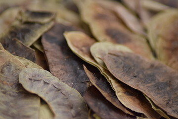 dried herbal tea plants