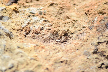 Sand ground background pattern