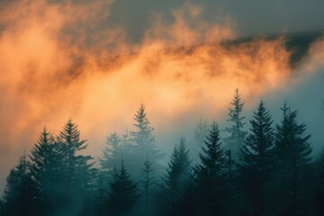 Trees And Clouds. Aethereal Fog Over Silhouetted Forest at Sunset in Scottish Highlands