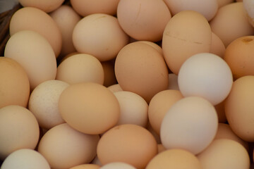 Natural village eggs sold in the market